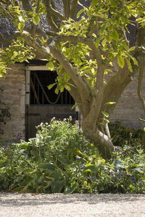 לינה וארוחת בוקר Halford  The Old Manor House מראה חיצוני תמונה